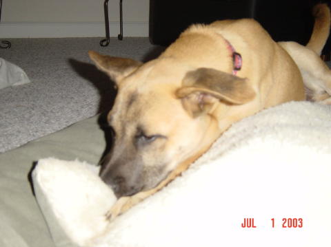 Image013