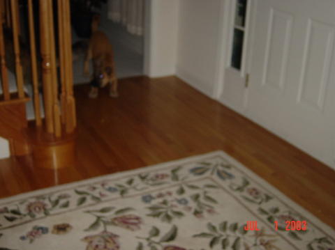 Image014