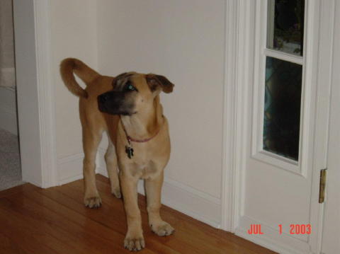 Image016