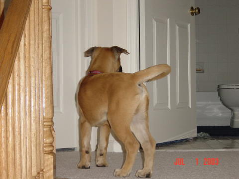 Image024