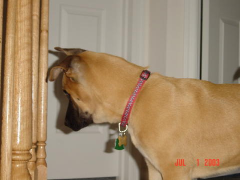 Image025