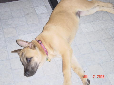 Image003
