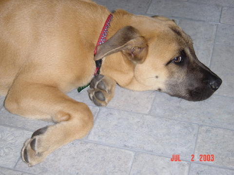Image005
