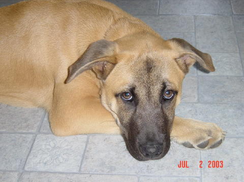 Image006
