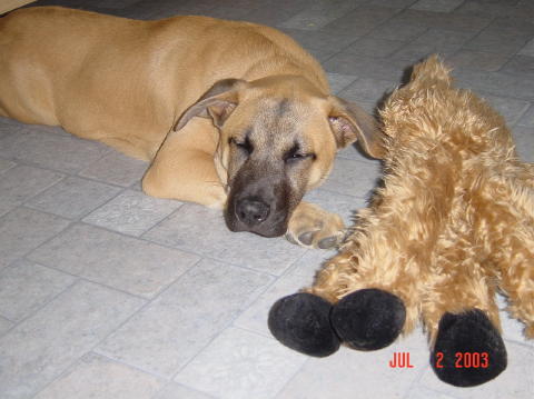 Image007