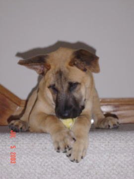 Image003