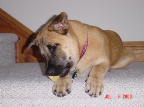 Image004