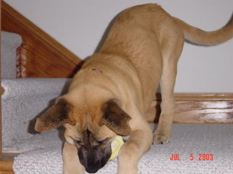 Image005