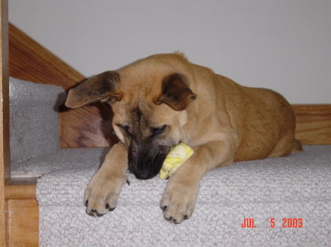 Image011