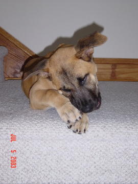 Image013