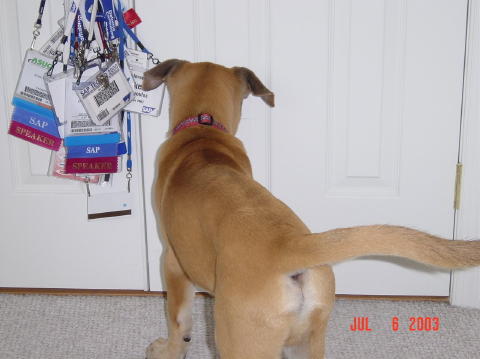 Image001