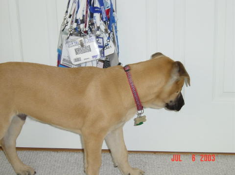 Image002