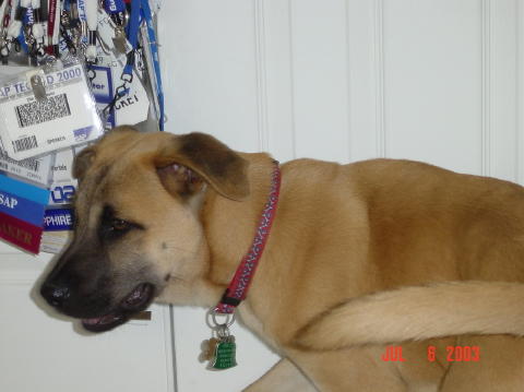 Image003