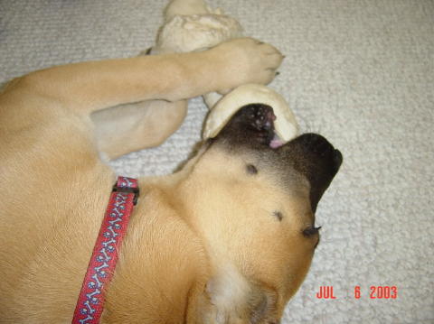 Image004
