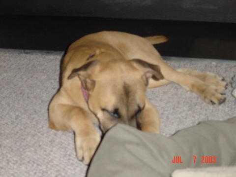 Image006