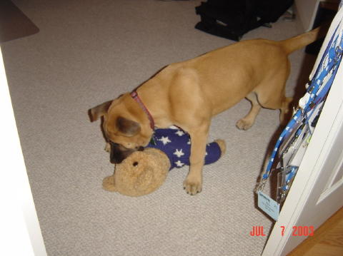Image007