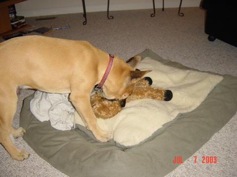 Image009