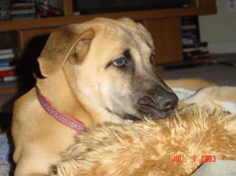 Image015