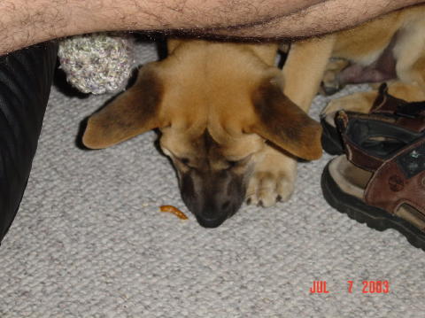 Image019
