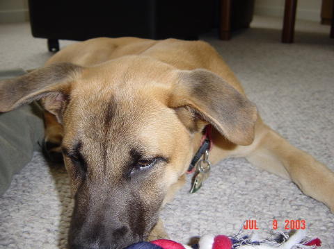 Image001