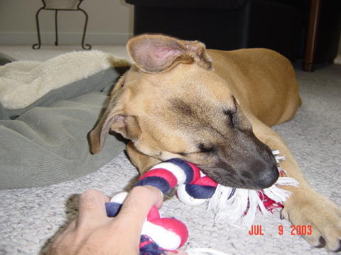 Image002