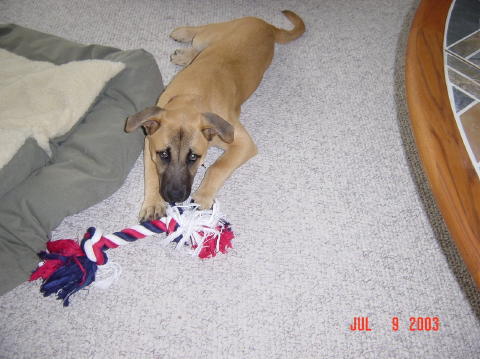 Image003