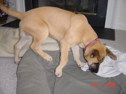 Image004