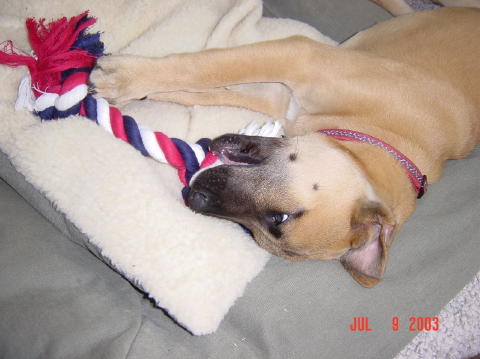 Image005