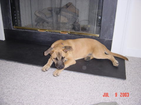 Image006