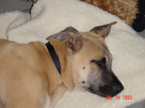 Image009