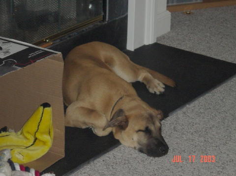 Image013