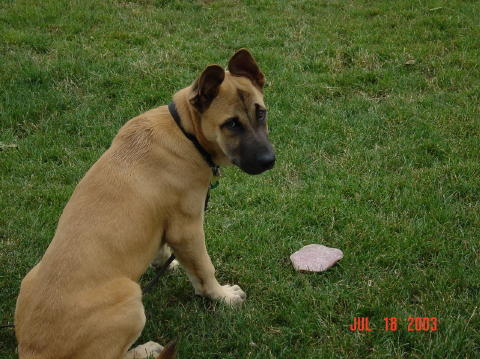 Image001