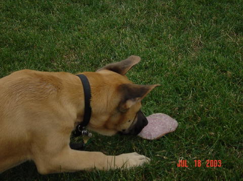 Image002