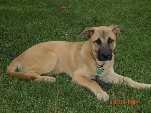 Image004