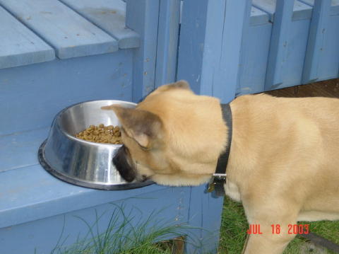 Image006