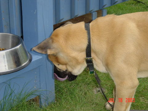 Image007