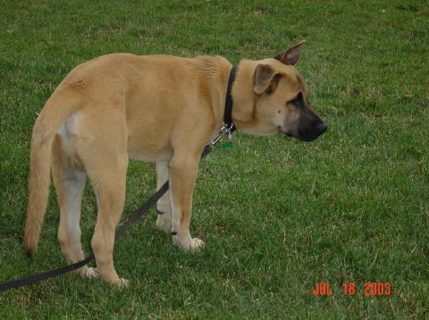 Image008