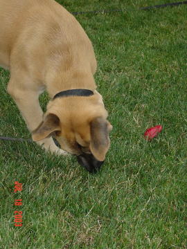 Image009