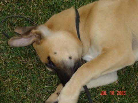 Image010