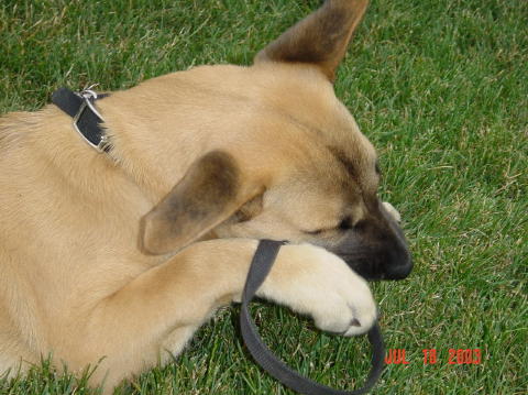 Image013
