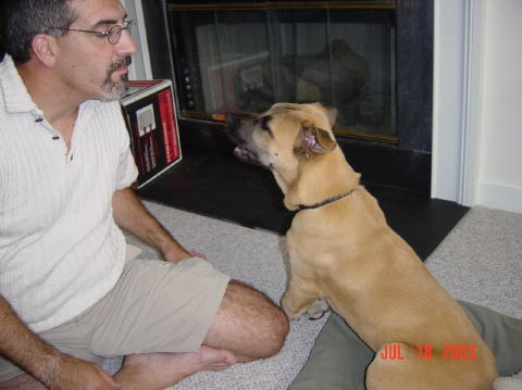 Image029