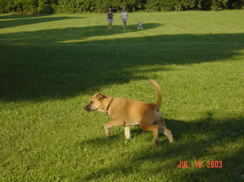 Image003