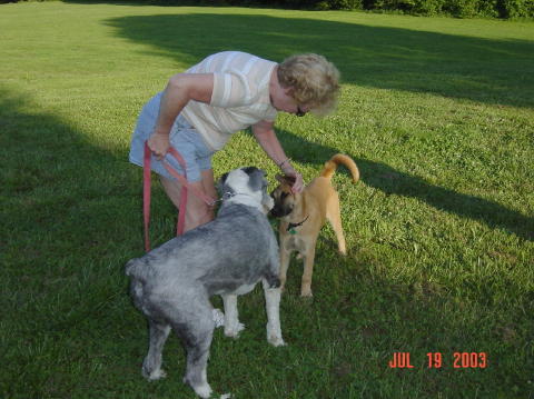 Image004