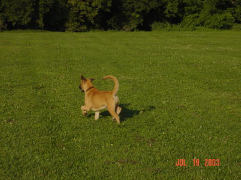 Image005