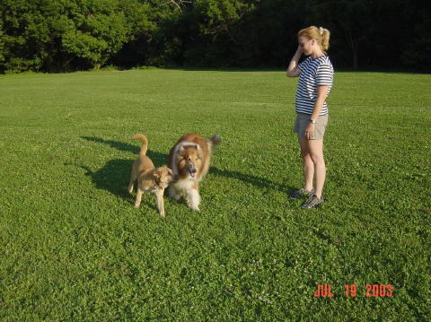 Image006