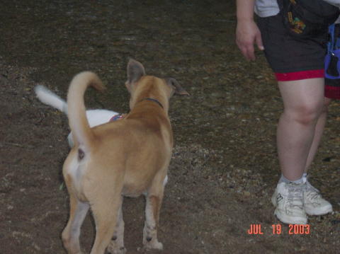 Image008