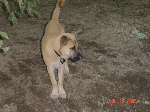 Image009