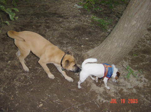 Image010