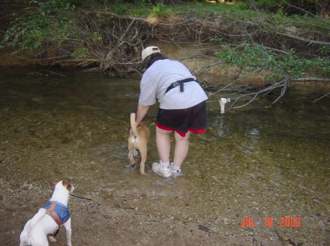Image011