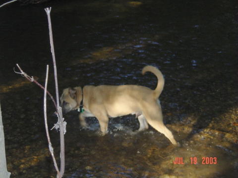 Image012